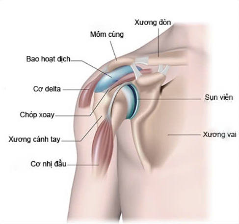 rach sun vien khop vai 2