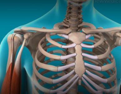 VIÊM GÂN NHỊ ĐẦU CÁNH TAY: NGUYÊN NHÂN, TRIỆU CHỨNG VÀ ĐIỀU TRỊ